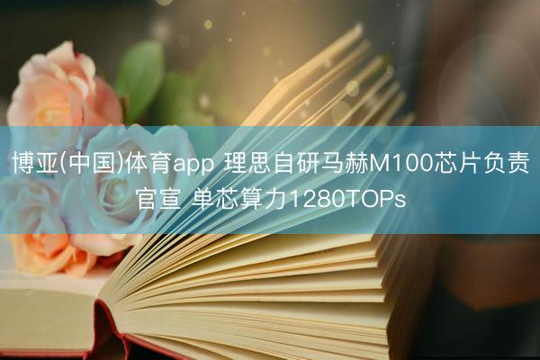 博亚(中国)体育app 理思自研马赫M100芯片负责官宣 单芯算力1280TOPs