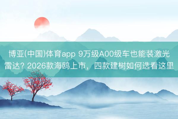 博亚(中国)体育app 9万级A00级车也能装激光雷达? 2026款海鸥上市，四款建树如何选看这里