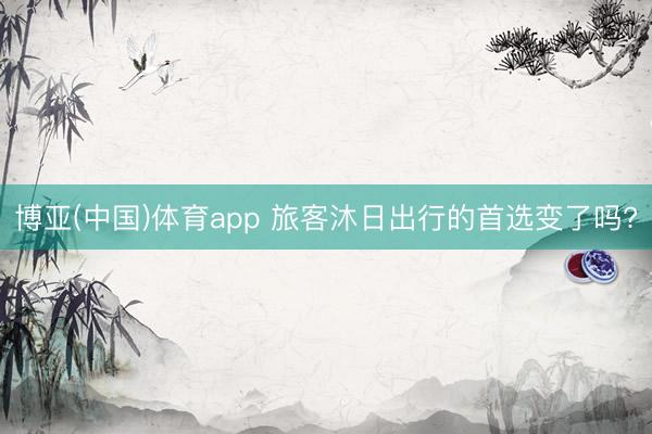 博亚(中国)体育app 旅客沐日出行的首选变了吗?