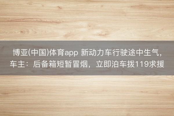 博亚(中国)体育app 新动力车行驶途中生气，车主：后备箱短暂冒烟，立即泊车拨119求援