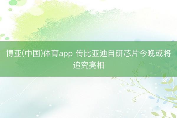 博亚(中国)体育app 传比亚迪自研芯片今晚或将追究亮相