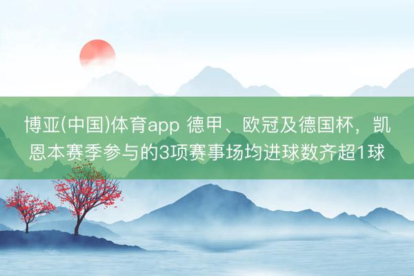 博亚(中国)体育app 德甲、欧冠及德国杯，凯恩本赛季参与的3项赛事场均进球数齐超1球