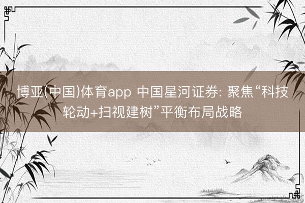 博亚(中国)体育app 中国星河证券: 聚焦“科技轮动+扫视建树”平衡布局战略